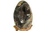 Septarian Dragon Egg Geode - Black Crystals #158339-1
